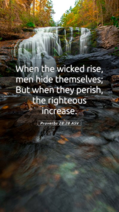 Picture 05 - Proverbs 28:28 ASV Mobile Phone Wallpaper - When the wicked rise, men hide themselves; But - Mobile Bible Verse Wallpaper