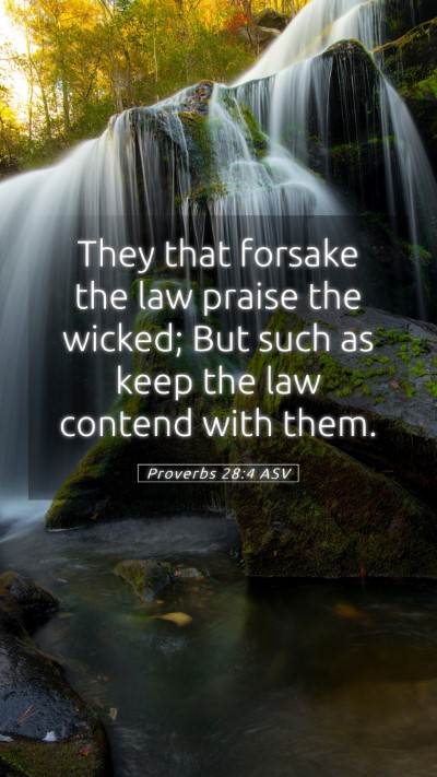 Picture 05 - Proverbs 28:4 ASV Mobile Phone Wallpaper - They that forsake the law praise the wicked; But - Mobile Bible Verse Wallpaper