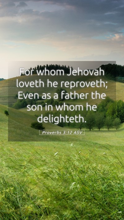 Picture 05 - Proverbs 3:12 ASV Mobile Phone Wallpaper - For whom Jehovah loveth he reproveth; Even as a - Mobile Bible Verse Wallpaper