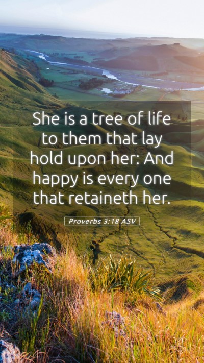 Picture 05 - Proverbs 3:18 ASV Mobile Phone Wallpaper - She is a tree of life to them that lay hold upon - Mobile Bible Verse Wallpaper