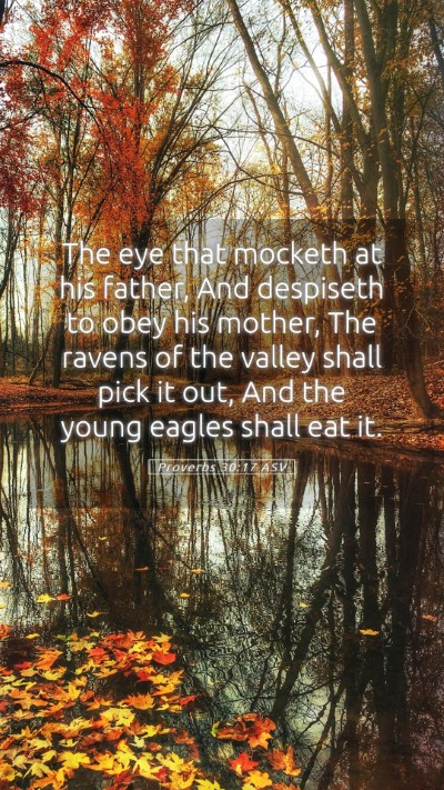 Picture 05 - Proverbs 30:17 ASV Mobile Phone Wallpaper - The eye that mocketh at his father, And despiseth - Mobile Bible Verse Wallpaper