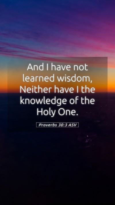 Picture 05 - Proverbs 30:3 ASV Mobile Phone Wallpaper - And I have not learned wisdom, Neither have I the - Mobile Bible Verse Wallpaper