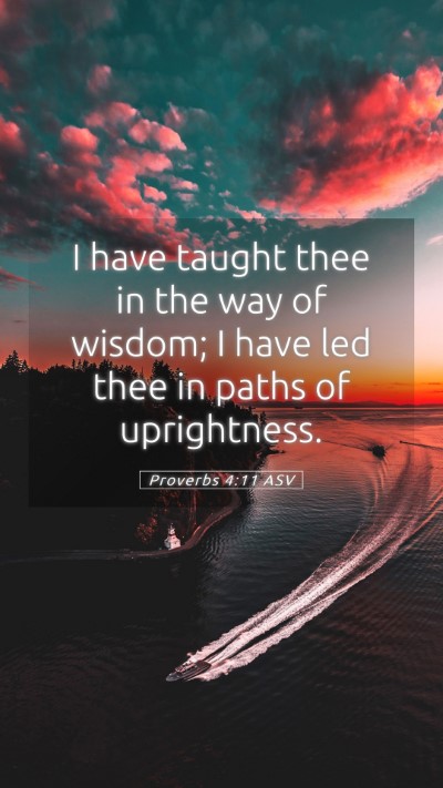 Picture 05 - Proverbs 4:11 ASV Mobile Phone Wallpaper - I have taught thee in the way of wisdom; I have - Mobile Bible Verse Wallpaper