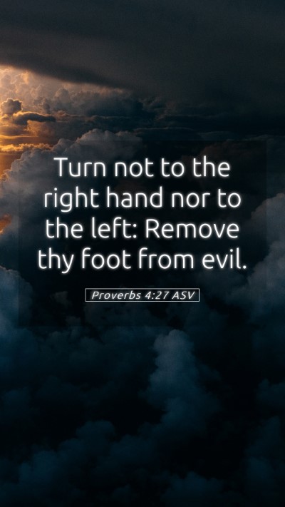 Picture 05 - Proverbs 4:27 ASV Mobile Phone Wallpaper - Turn not to the right hand nor to the left: - Mobile Bible Verse Wallpaper