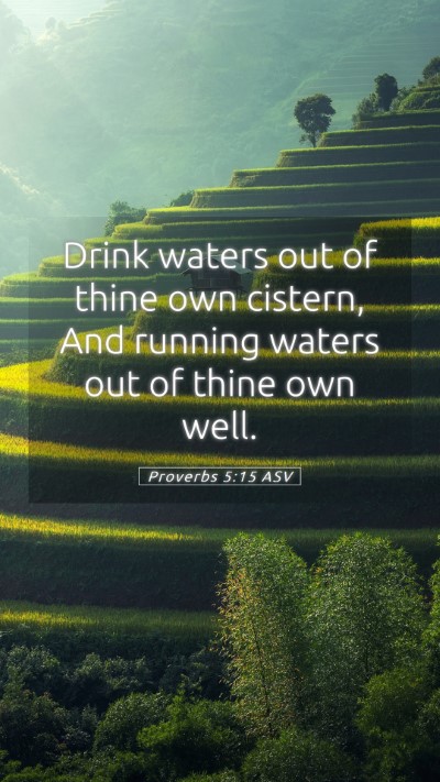 Picture 05 - Proverbs 5:15 ASV Mobile Phone Wallpaper - Drink waters out of thine own cistern, And - Mobile Bible Verse Wallpaper