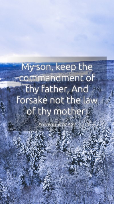 Picture 05 - Proverbs 6:20 ASV Mobile Phone Wallpaper - My son, keep the commandment of thy father, And - Mobile Bible Verse Wallpaper