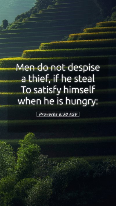 Picture 05 - Proverbs 6:30 ASV Mobile Phone Wallpaper - Men do not despise a thief, if he steal To - Mobile Bible Verse Wallpaper
