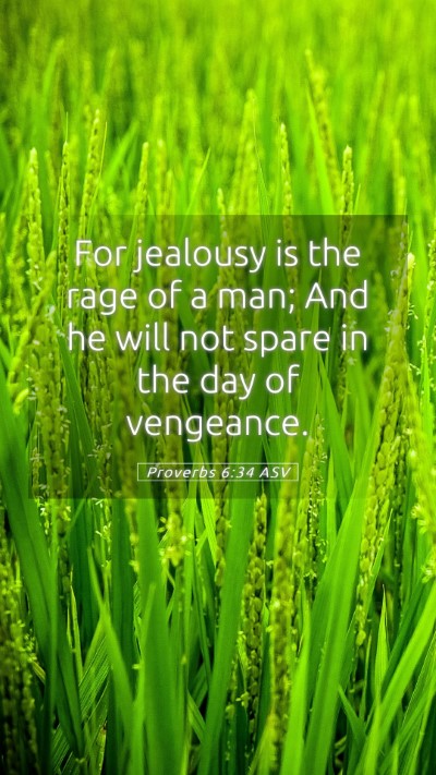 Picture 05 - Proverbs 6:34 ASV Mobile Phone Wallpaper - For jealousy is the rage of a man; And he will - Mobile Bible Verse Wallpaper