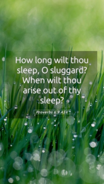 Picture 05 - Proverbs 6:9 ASV Mobile Phone Wallpaper - How long wilt thou sleep, O sluggard? When wilt - Mobile Bible Verse Wallpaper