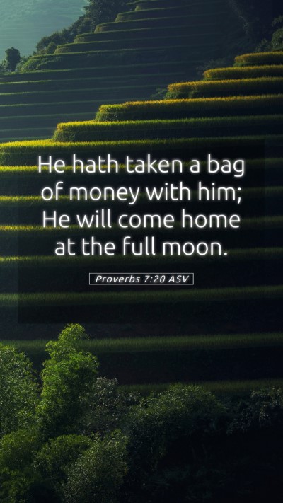 Picture 05 - Proverbs 7:20 ASV Mobile Phone Wallpaper - He hath taken a bag of money with him; He will - Mobile Bible Verse Wallpaper