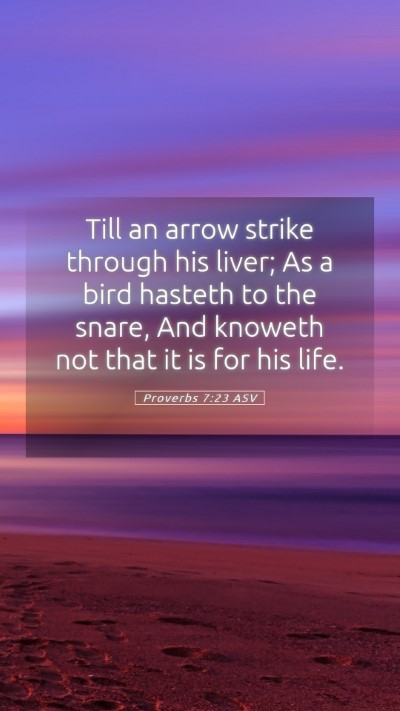 Picture 05 - Proverbs 7:23 ASV Mobile Phone Wallpaper - Till an arrow strike through his liver; As a bird - Mobile Bible Verse Wallpaper