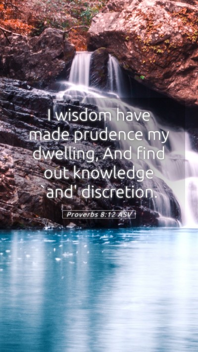 Picture 05 - Proverbs 8:12 ASV Mobile Phone Wallpaper - I wisdom have made prudence my dwelling, And find - Mobile Bible Verse Wallpaper