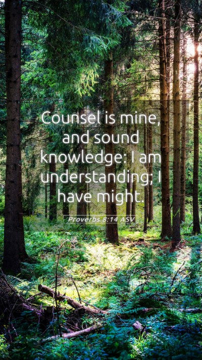 Picture 05 - Proverbs 8:14 ASV Mobile Phone Wallpaper - Counsel is mine, and sound knowledge: I am - Mobile Bible Verse Wallpaper