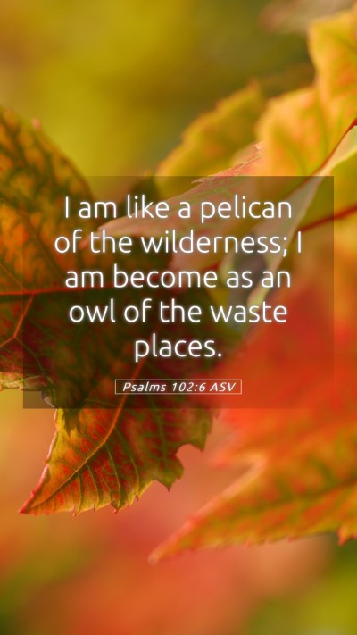 Picture 05 - Psalms 102:6 ASV Mobile Phone Wallpaper - I am like a pelican of the wilderness; I am - Mobile Bible Verse Wallpaper
