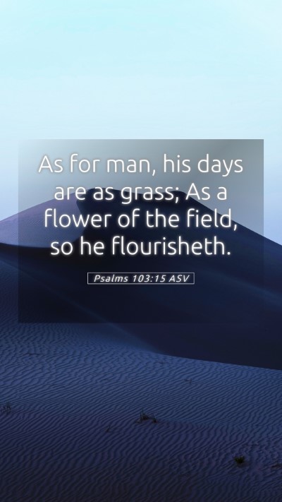Picture 05 - Psalms 103:15 ASV Mobile Phone Wallpaper - As for man, his days are as grass; As a flower of - Mobile Bible Verse Wallpaper