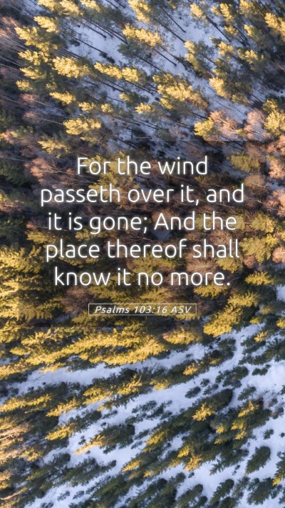 Picture 05 - Psalms 103:16 ASV Mobile Phone Wallpaper - For the wind passeth over it, and it is gone; And - Mobile Bible Verse Wallpaper