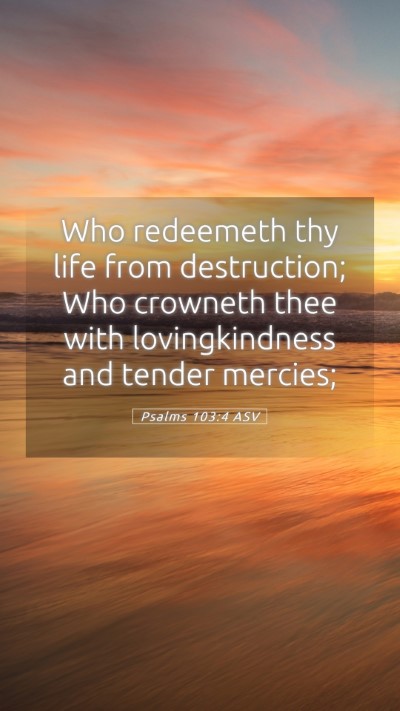 Picture 05 - Psalms 103:4 ASV Mobile Phone Wallpaper - Who redeemeth thy life from destruction; Who - Mobile Bible Verse Wallpaper