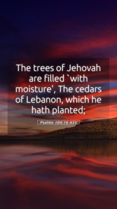 Picture 05 - Psalms 104:16 ASV Mobile Phone Wallpaper - The trees of Jehovah are filled `with moisture', - Mobile Bible Verse Wallpaper