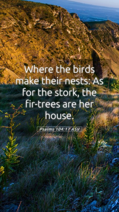Picture 05 - Psalms 104:17 ASV Mobile Phone Wallpaper - Where the birds make their nests: As for the - Mobile Bible Verse Wallpaper