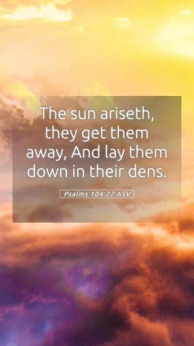 Picture 05 - Psalms 104:22 ASV Mobile Phone Wallpaper - The sun ariseth, they get them away, And lay them - Mobile Bible Verse Wallpaper