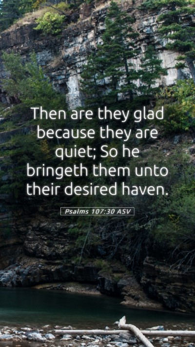 Picture 05 - Psalms 107:30 ASV Mobile Phone Wallpaper - Then are they glad because they are quiet; So he - Mobile Bible Verse Wallpaper