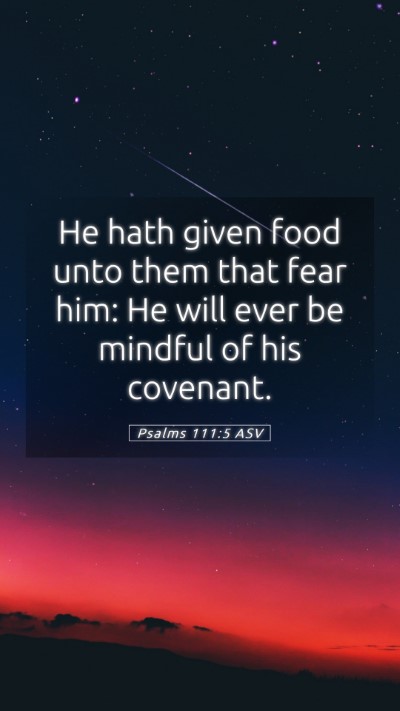 Picture 05 - Psalms 111:5 ASV Mobile Phone Wallpaper - He hath given food unto them that fear him: He - Mobile Bible Verse Wallpaper