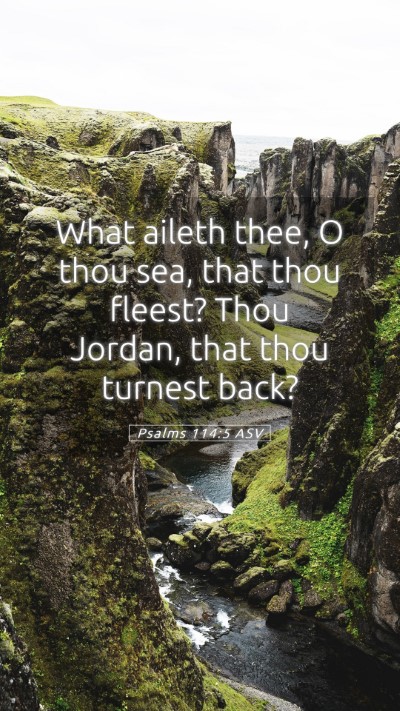 Picture 05 - Psalms 114:5 ASV Mobile Phone Wallpaper - What aileth thee, O thou sea, that thou fleest? - Mobile Bible Verse Wallpaper