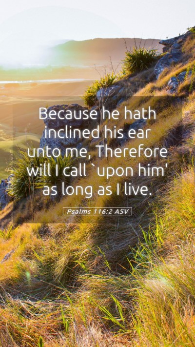 Picture 05 - Psalms 116:2 ASV Mobile Phone Wallpaper - Because he hath inclined his ear unto me, - Mobile Bible Verse Wallpaper