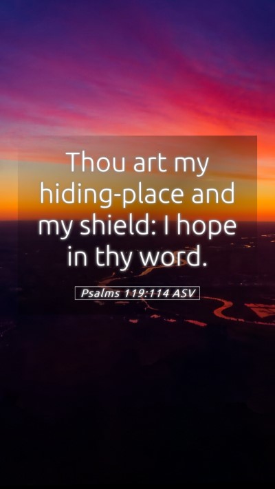 Picture 05 - Psalms 119:114 ASV Mobile Phone Wallpaper - Thou art my hiding-place and my shield: I hope in - Mobile Bible Verse Wallpaper