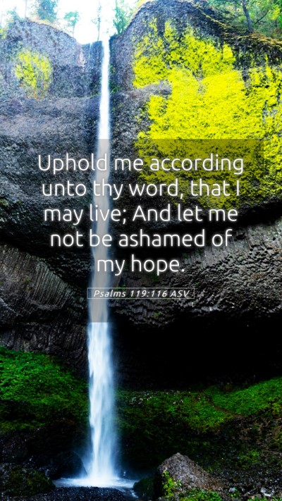 Picture 05 - Psalms 119:116 ASV Mobile Phone Wallpaper - Uphold me according unto thy word, that I may - Mobile Bible Verse Wallpaper