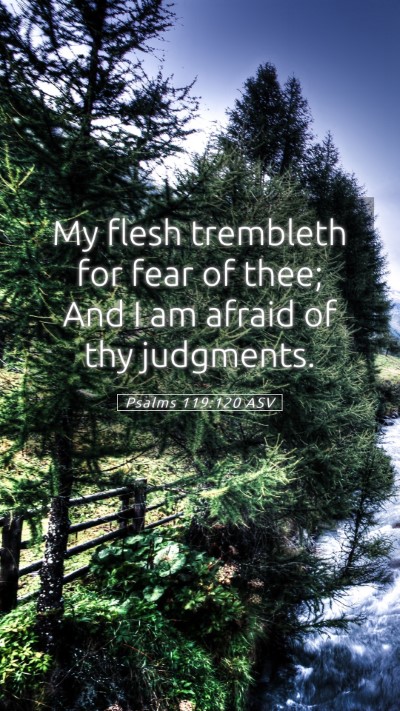 Picture 05 - Psalms 119:120 ASV Mobile Phone Wallpaper - My flesh trembleth for fear of thee; And I am - Mobile Bible Verse Wallpaper