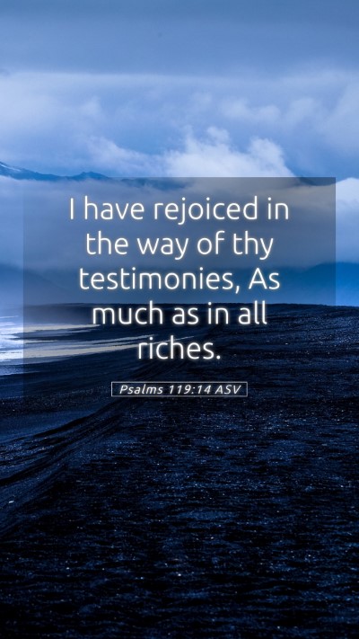Picture 05 - Psalms 119:14 ASV Mobile Phone Wallpaper - I have rejoiced in the way of thy testimonies, As - Mobile Bible Verse Wallpaper