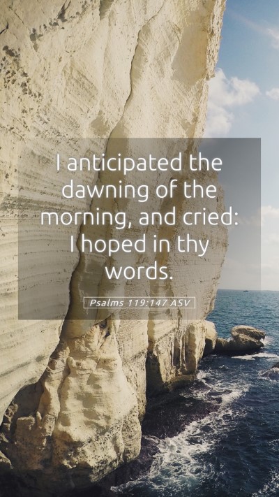 Picture 05 - Psalms 119:147 ASV Mobile Phone Wallpaper - I anticipated the dawning of the morning, and - Mobile Bible Verse Wallpaper