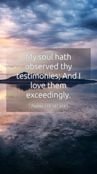 Picture 05 - Psalms 119:167 ASV Mobile Phone Wallpaper - My soul hath observed thy testimonies; And I love - Mobile Bible Verse Wallpaper
