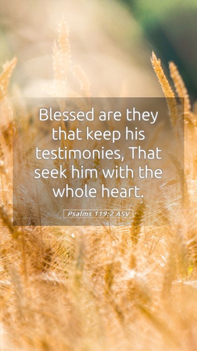 Picture 05 - Psalms 119:2 ASV Mobile Phone Wallpaper - Blessed are they that keep his testimonies, That - Mobile Bible Verse Wallpaper