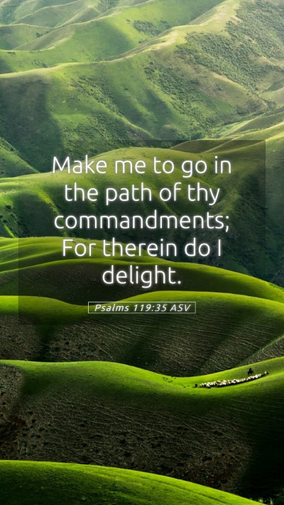 Picture 05 - Psalms 119:35 ASV Mobile Phone Wallpaper - Make me to go in the path of thy commandments; - Mobile Bible Verse Wallpaper