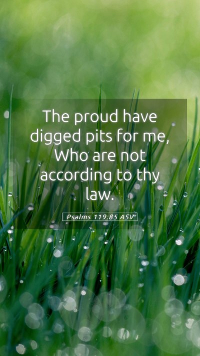 Picture 05 - Psalms 119:85 ASV Mobile Phone Wallpaper - The proud have digged pits for me, Who are not - Mobile Bible Verse Wallpaper
