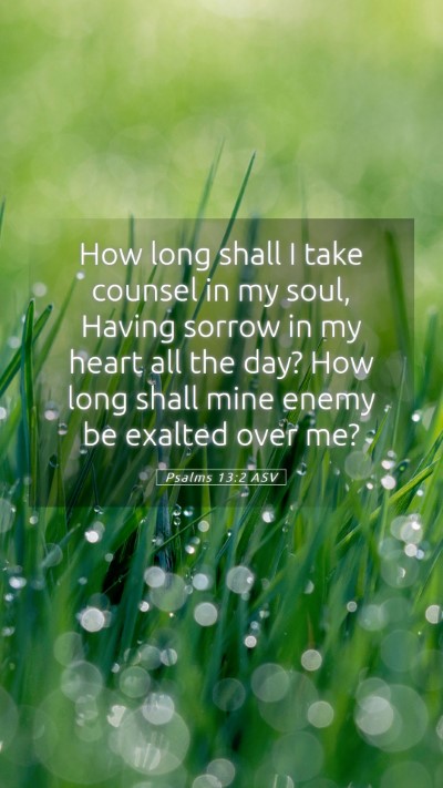 Picture 05 - Psalms 13:2 ASV Mobile Phone Wallpaper - How long shall I take counsel in my soul, Having - Mobile Bible Verse Wallpaper