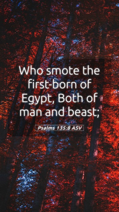Picture 05 - Psalms 135:8 ASV Mobile Phone Wallpaper - Who smote the first-born of Egypt, Both of man - Mobile Bible Verse Wallpaper