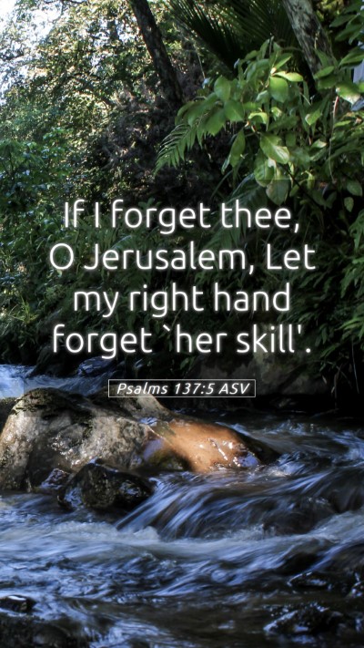 Picture 05 - Psalms 137:5 ASV Mobile Phone Wallpaper - If I forget thee, O Jerusalem, Let my right hand - Mobile Bible Verse Wallpaper
