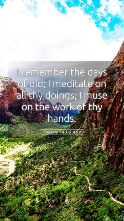 Picture 05 - Psalms 143:5 ASV Mobile Phone Wallpaper - I remember the days of old; I meditate on all thy - Mobile Bible Verse Wallpaper