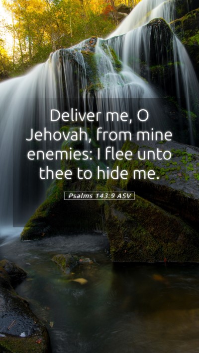 Picture 05 - Psalms 143:9 ASV Mobile Phone Wallpaper - Deliver me, O Jehovah, from mine enemies: I flee - Mobile Bible Verse Wallpaper