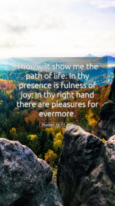 Picture 05 - Psalms 16:11 ASV Mobile Phone Wallpaper - Thou wilt show me the path of life: In thy - Mobile Bible Verse Wallpaper