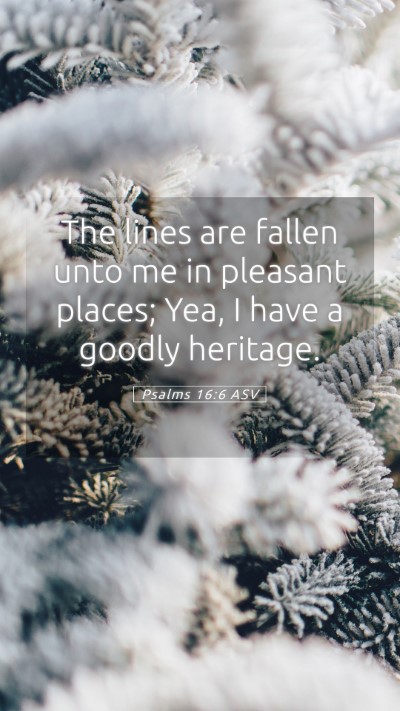 Picture 05 - Psalms 16:6 ASV Mobile Phone Wallpaper - The lines are fallen unto me in pleasant places; - Mobile Bible Verse Wallpaper