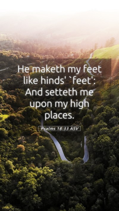 Picture 05 - Psalms 18:33 ASV Mobile Phone Wallpaper - He maketh my feet like hinds' `feet': And setteth - Mobile Bible Verse Wallpaper