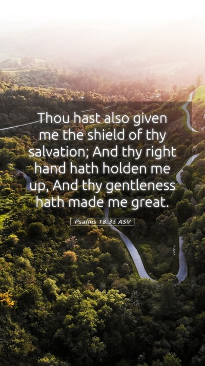 Picture 05 - Psalms 18:35 ASV Mobile Phone Wallpaper - Thou hast also given me the shield of thy - Mobile Bible Verse Wallpaper