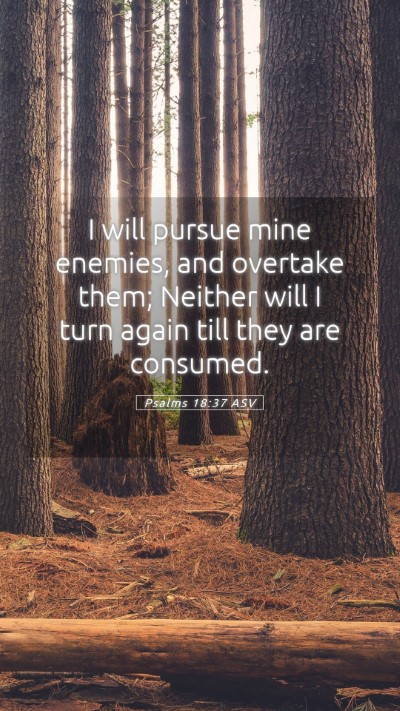 Picture 05 - Psalms 18:37 ASV Mobile Phone Wallpaper - I will pursue mine enemies, and overtake them; - Mobile Bible Verse Wallpaper