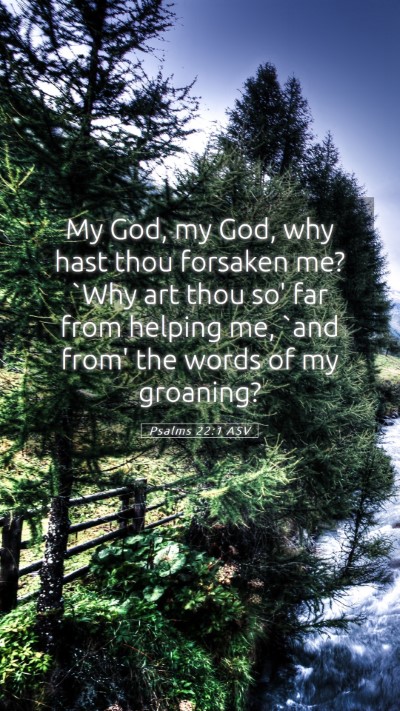 Picture 05 - Psalms 22:1 ASV Mobile Phone Wallpaper - My God, my God, why hast thou forsaken me? `Why - Mobile Bible Verse Wallpaper