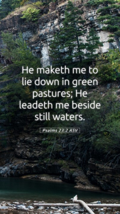 Picture 05 - Psalms 23:2 ASV Mobile Phone Wallpaper - He maketh me to lie down in green pastures; He - Mobile Bible Verse Wallpaper