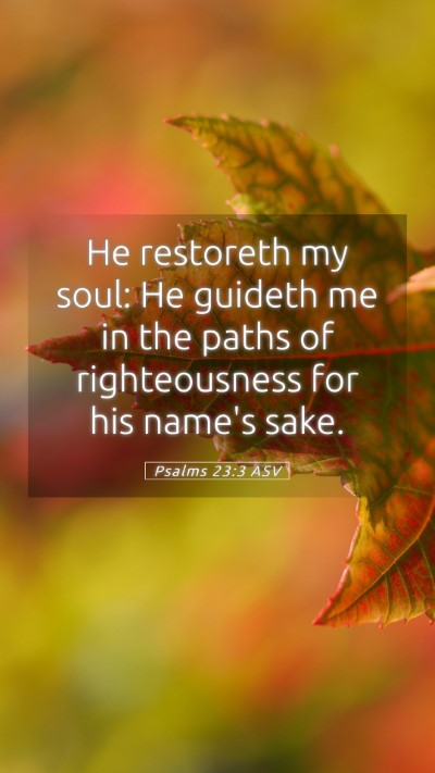 Picture 05 - Psalms 23:3 ASV Mobile Phone Wallpaper - He restoreth my soul: He guideth me in the paths - Mobile Bible Verse Wallpaper